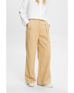 PANTALON VELOUR / THEME TAILLEUR